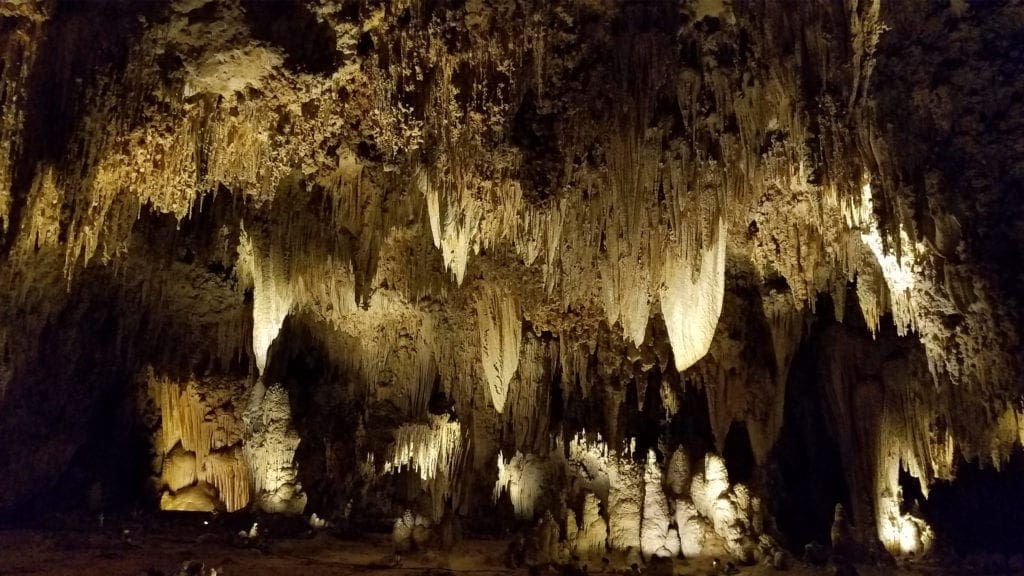 The Batty Parks with Bats! 8 Carlsbad Caverns National Park - New Mexico - USA - 8