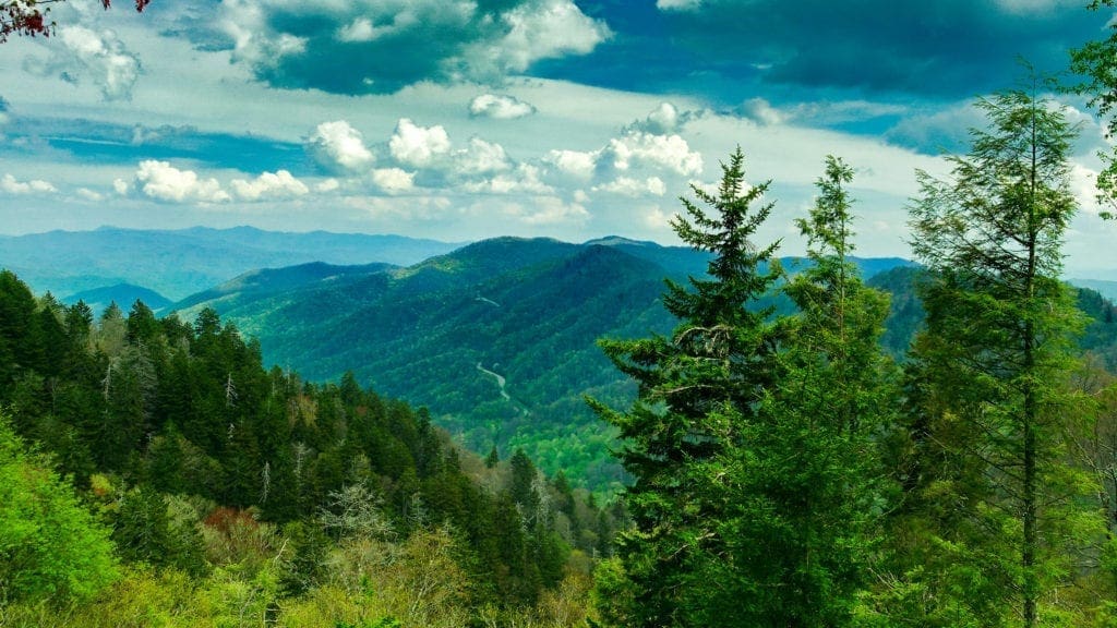 Great Smoky Mountains National Park Discover Our Parks
