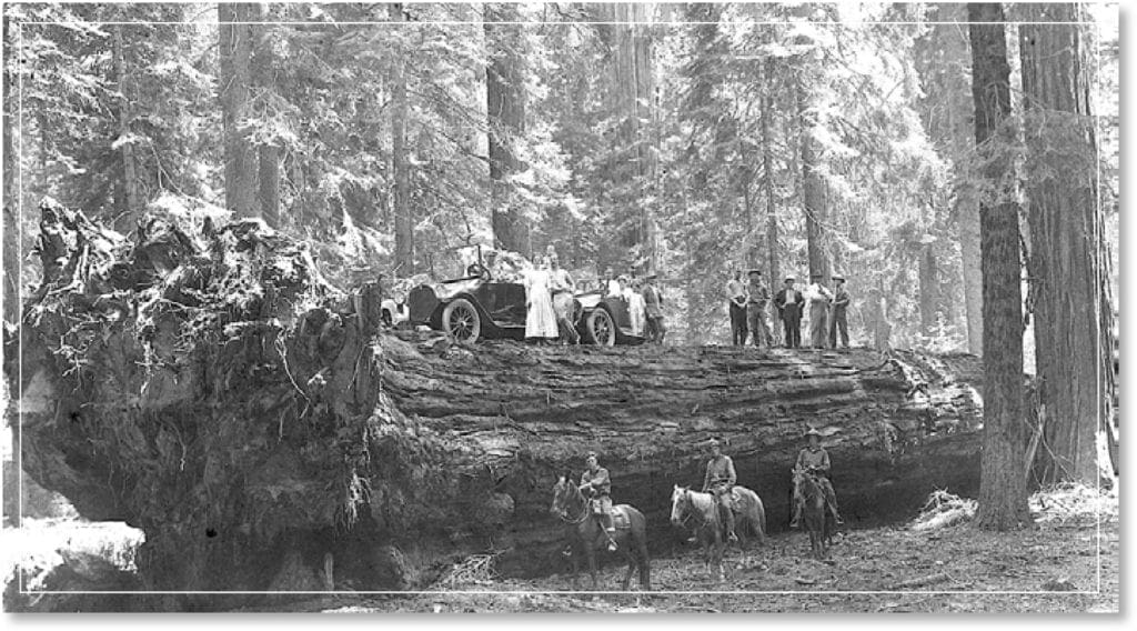 About the Park 1 Historic Photo from the Foundation Document of Sequoia and Kings Canyon National Parks