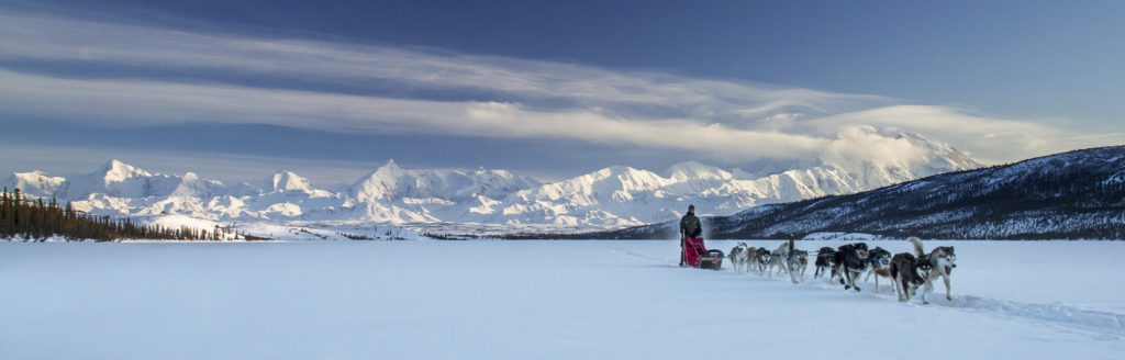 Winter in the Parks 19 Mushing on Wonder Lake Panorama
