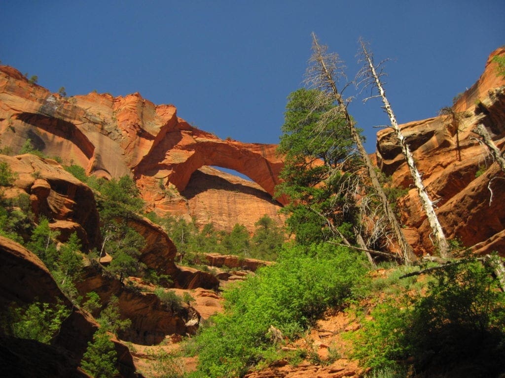 December 2020 - Park of the Month 13 Kolob Arch