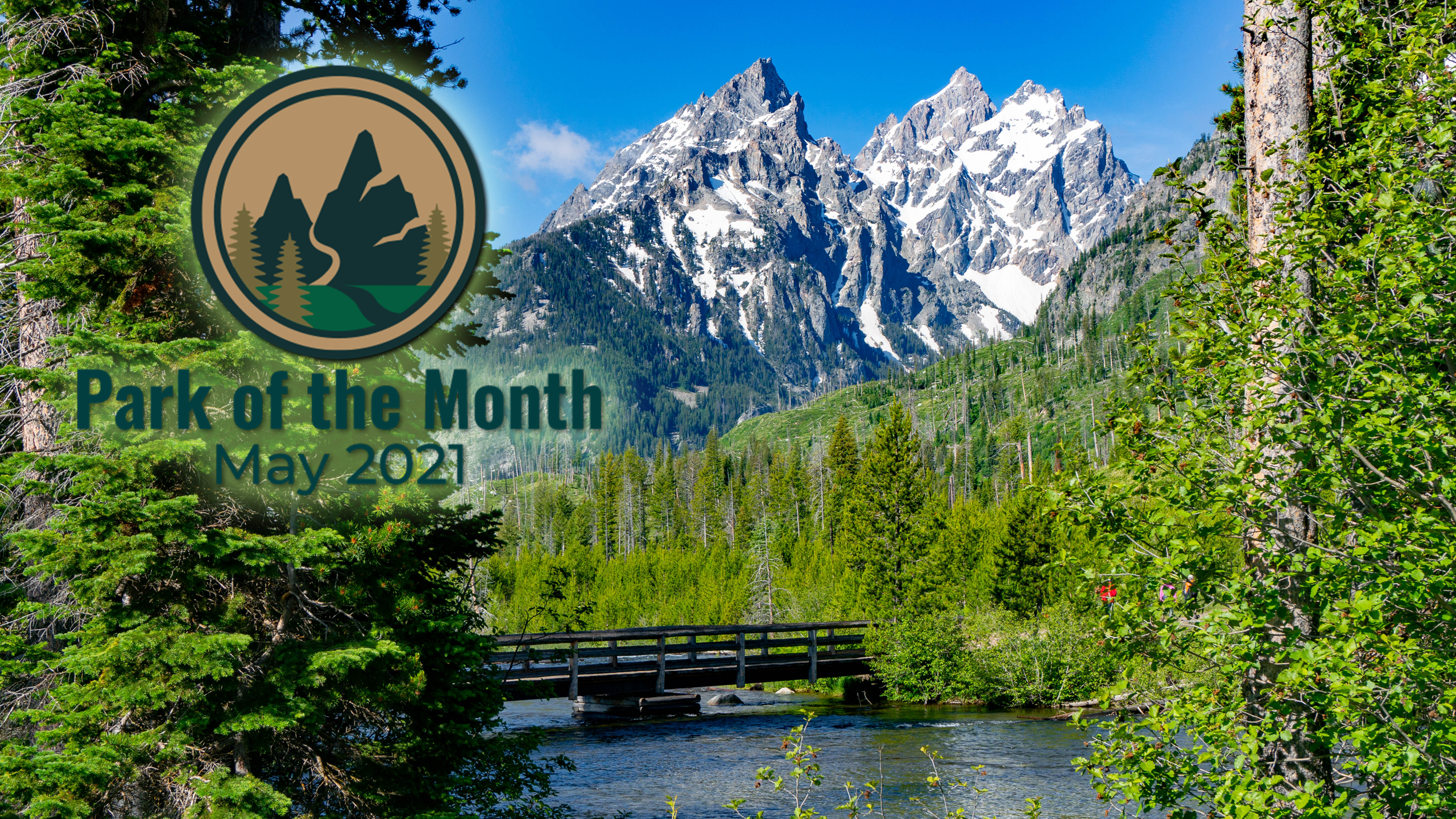 A bridge over a creek with trees on the sides and a view of mountains in Grand Teton National Park