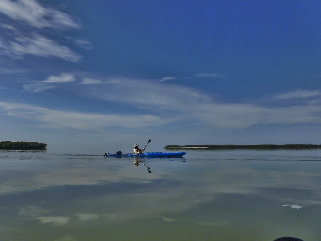 March 2022 - Park of the Month 15 Wilderness Waterway Kayaking in Everglades National Park