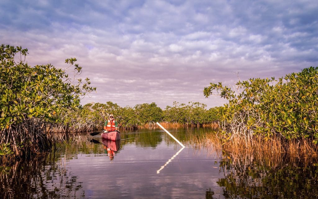 March 2022 - Park of the Month 16 Man in canoe on Nine Mile Pond in Everglades National Park