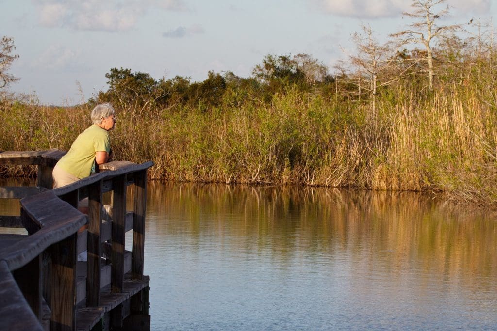 March 2022 - Park of the Month 18 Woman looking out over water from boardwalk on the Anhinga Trail in Everglades National Park