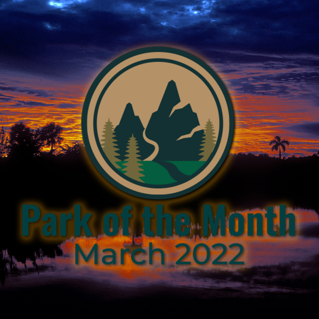 Sunrise in Palms in Everglades National Park