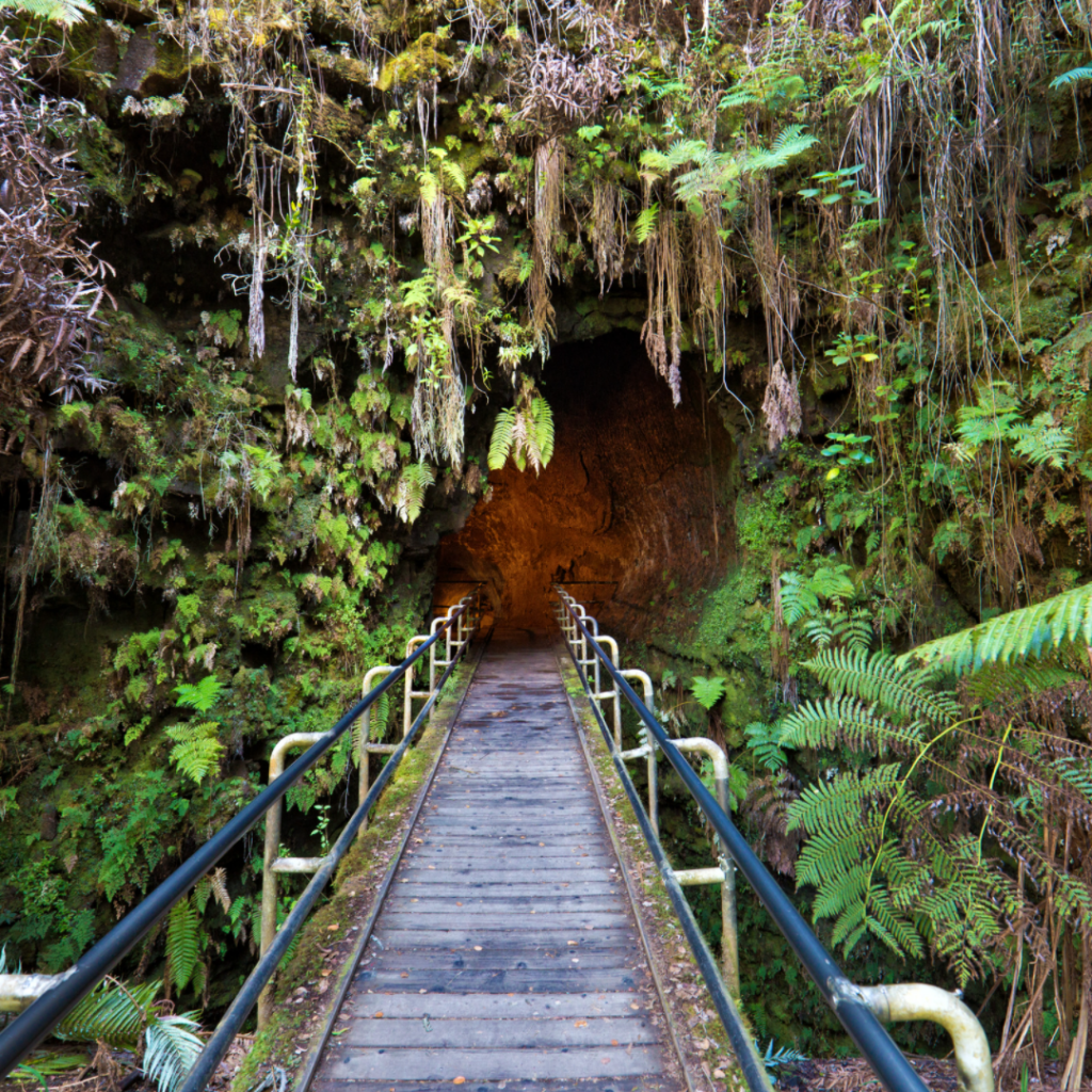 Thurston Lava Tube Entrance in Hawai'i Volcanoes National Park