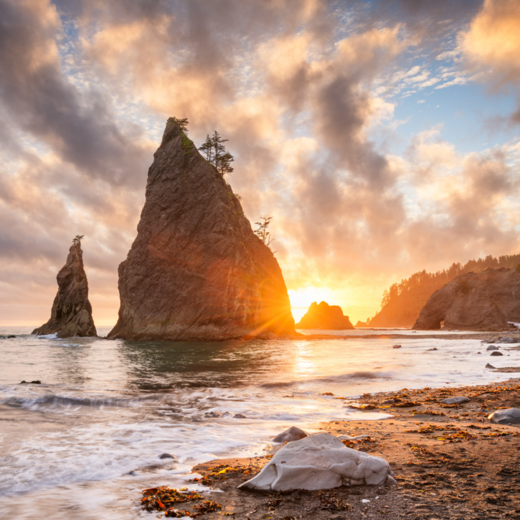 Coastal Sunset in Olympic National Park