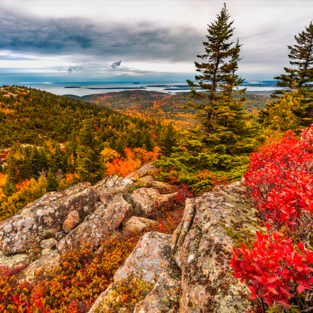 Fall foliage atop Cadillac Mountain in Acadia National Park