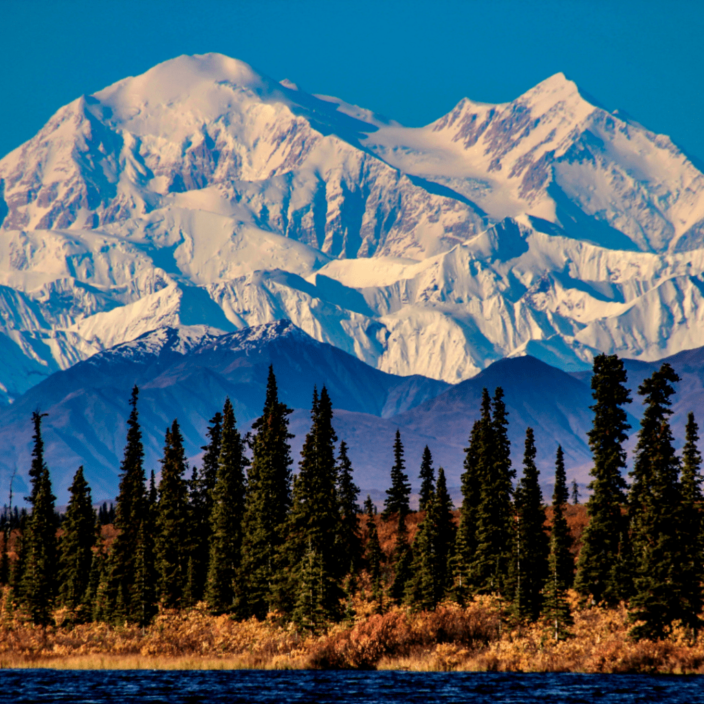 Denali Peak, the tallest in North America, in Denali National Park