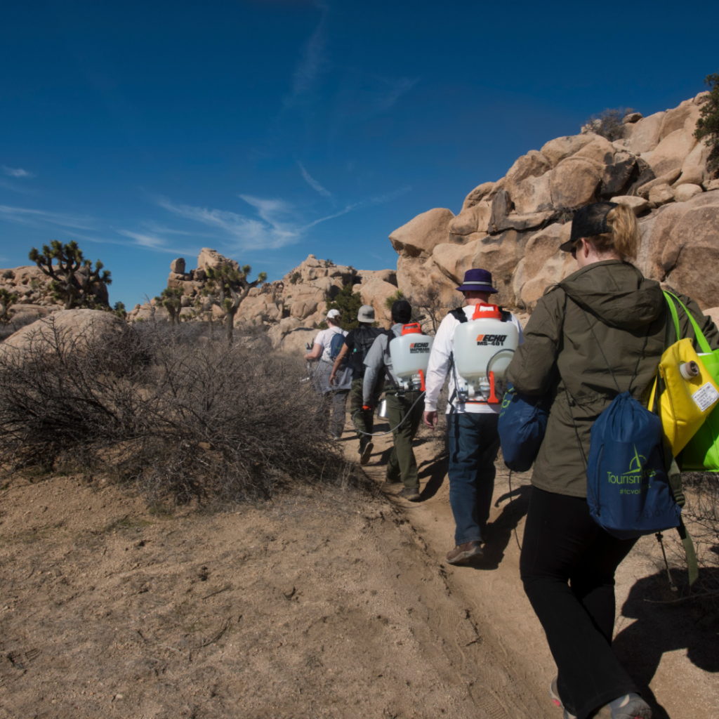 Graffiti Removal Day with Volunteers at Joshua Tree National Park