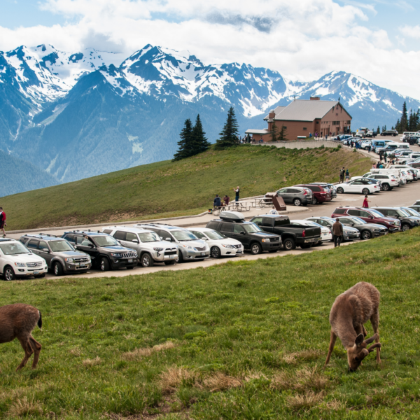 Be Prepared! Ticketed Entry Reservations, Know Which Park’s Will Have Them in 2022